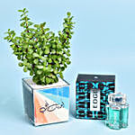 Love You Dad Jade Plant and Perfume
