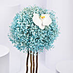 Butterfly n Blue Sky Gypso Arrangement