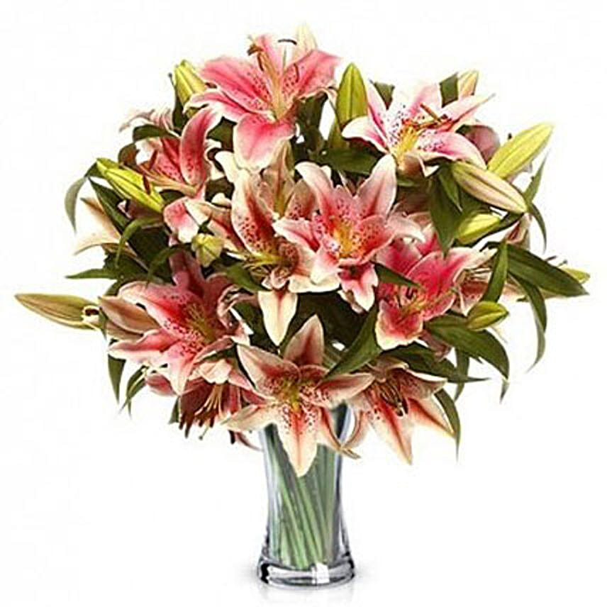 Blush Lilies