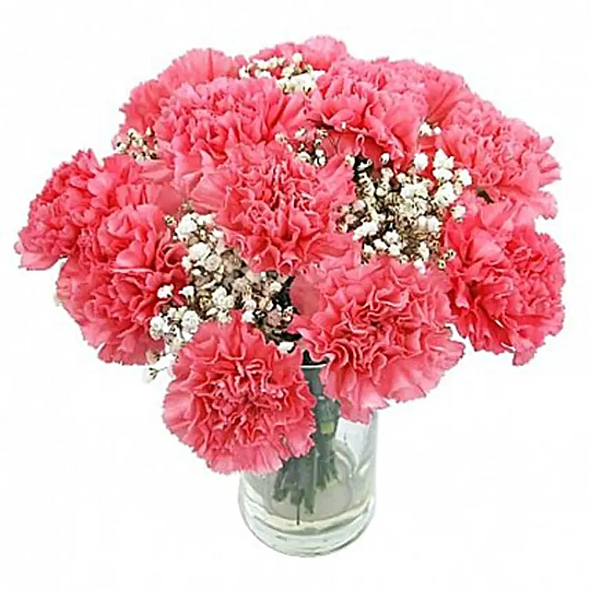 Sweet And Romantic Bouquet12 Pink Carnations