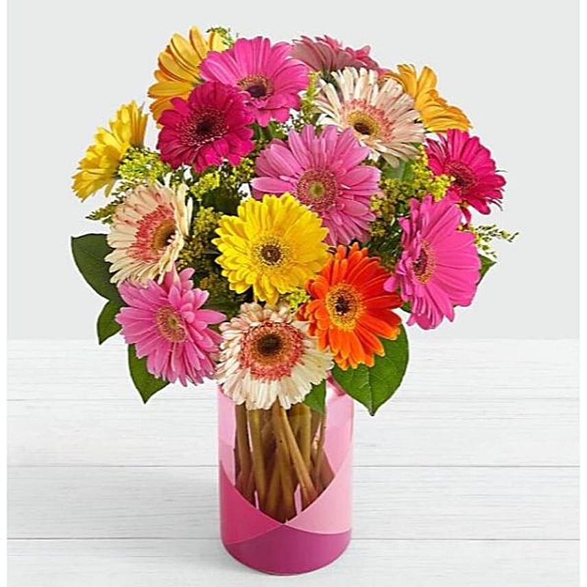 12 Mixed Gerbera