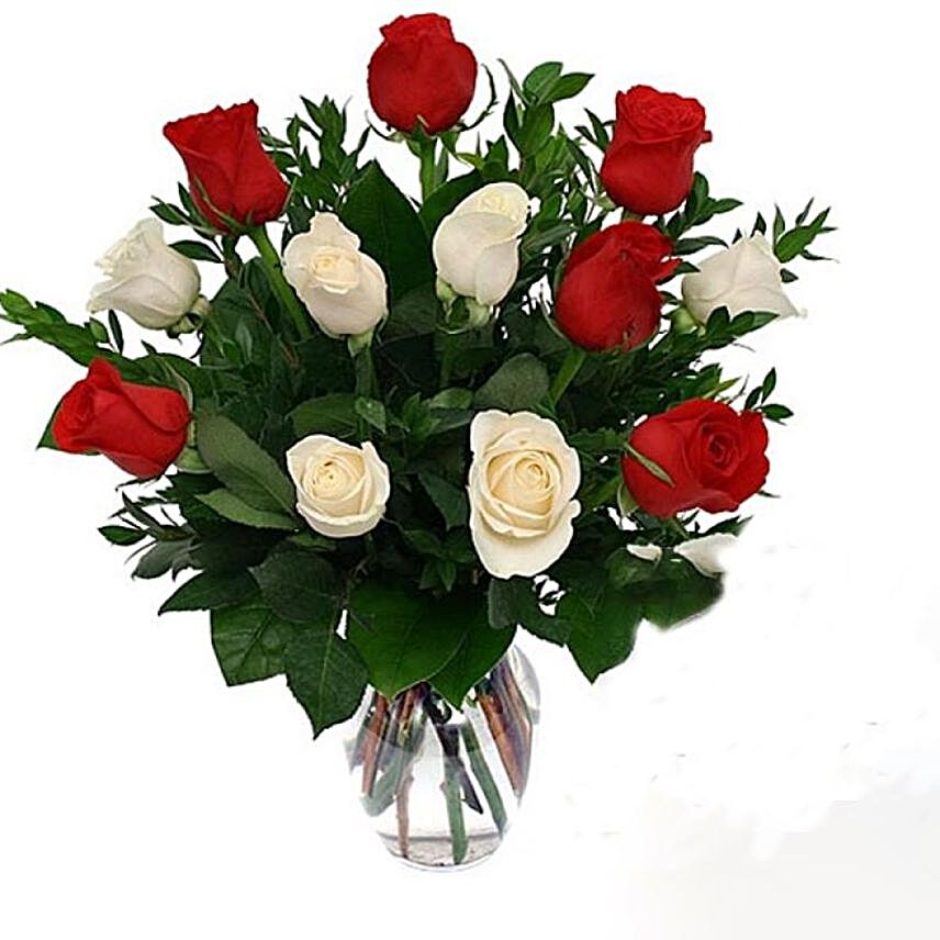 Striking Red And White Roses