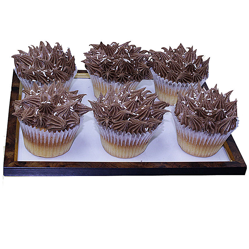 Bristly Chocolate Cupcakes