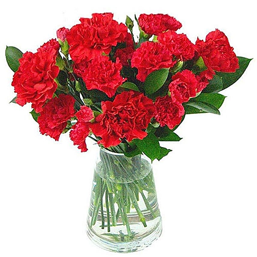 Blissful Red Carnations Arrangement