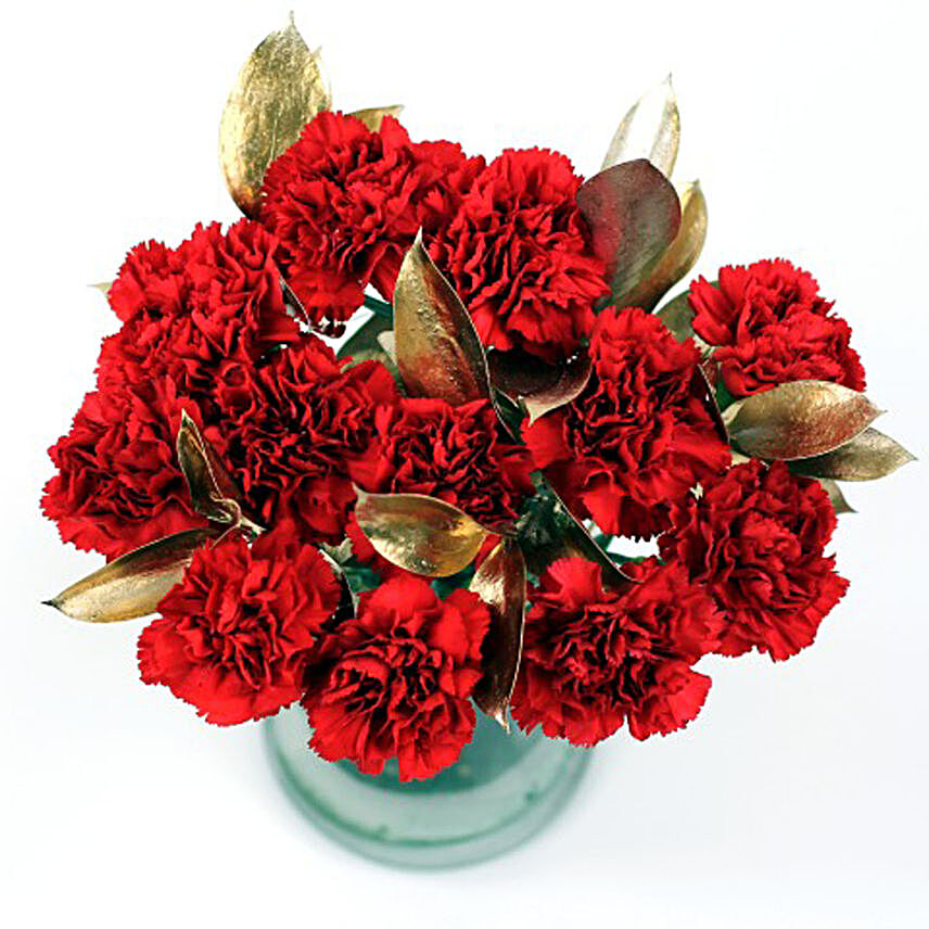 Beautiful Red Carnations Bouquet