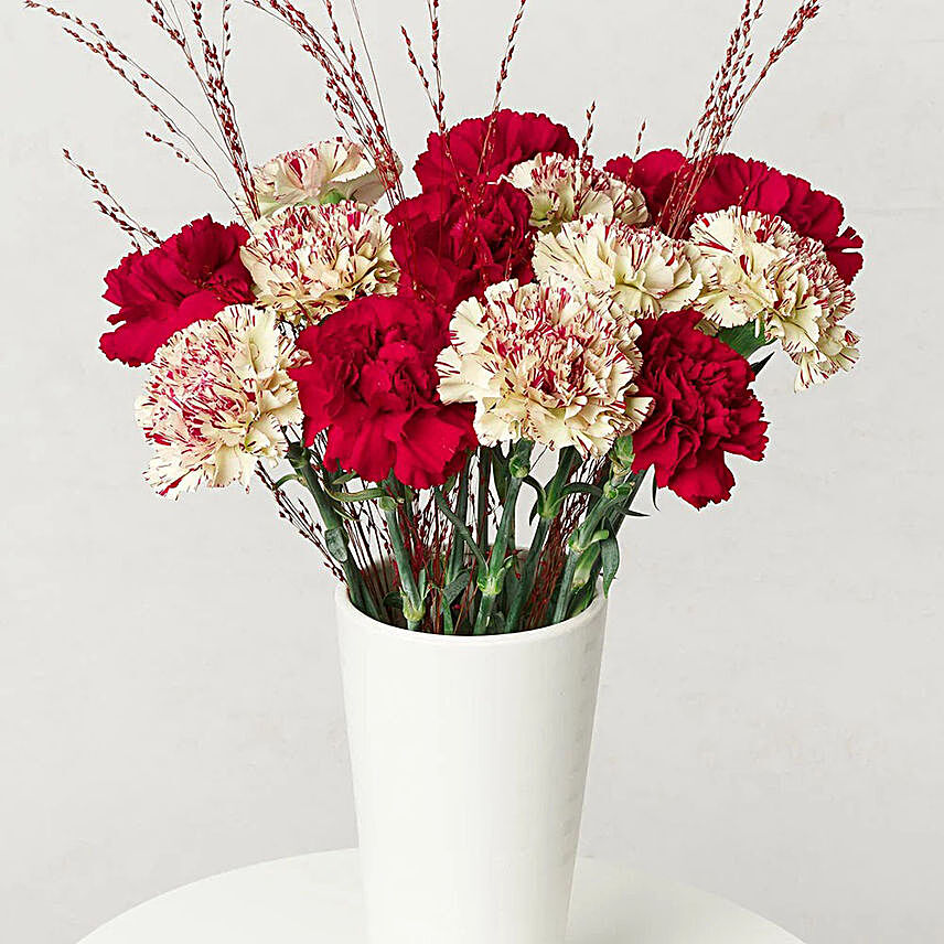 Delightful Burgundy Carnations Vase