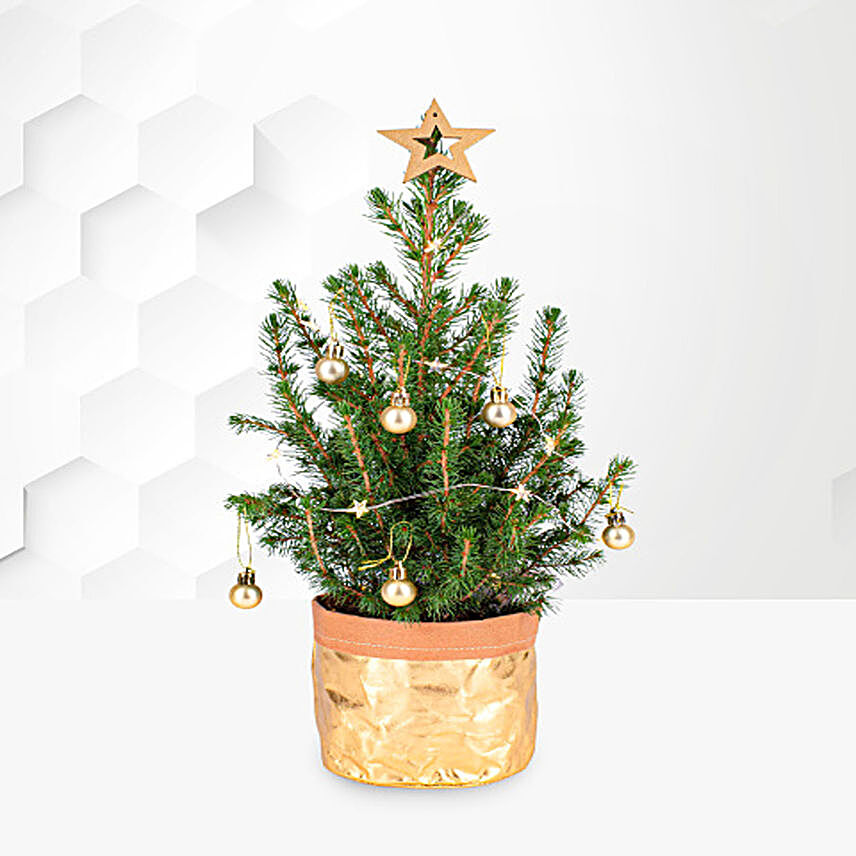 Golden Letterbox Christmas Tree:Christmas Gifts UK