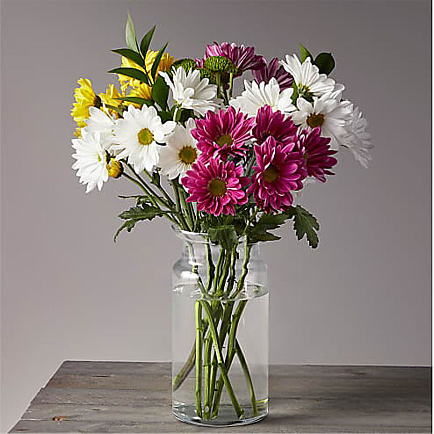 Charismatic Mixed Daisy Poms Vase:Send Rakhi Gifts for Sister in UK