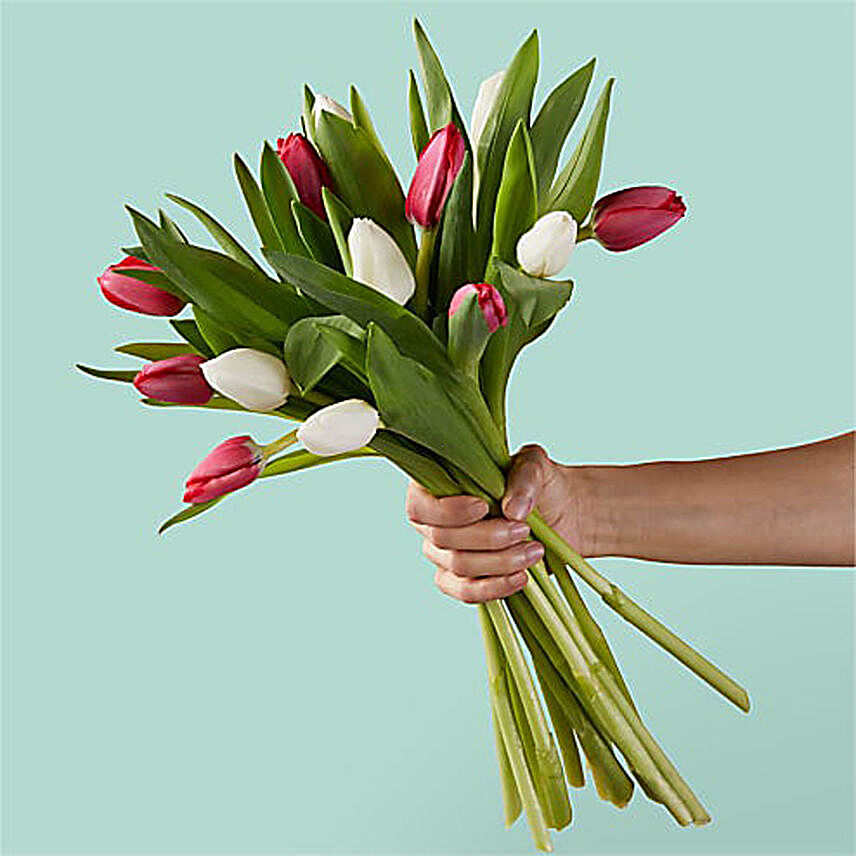 Beautiful Red And White Tulips Bouquet