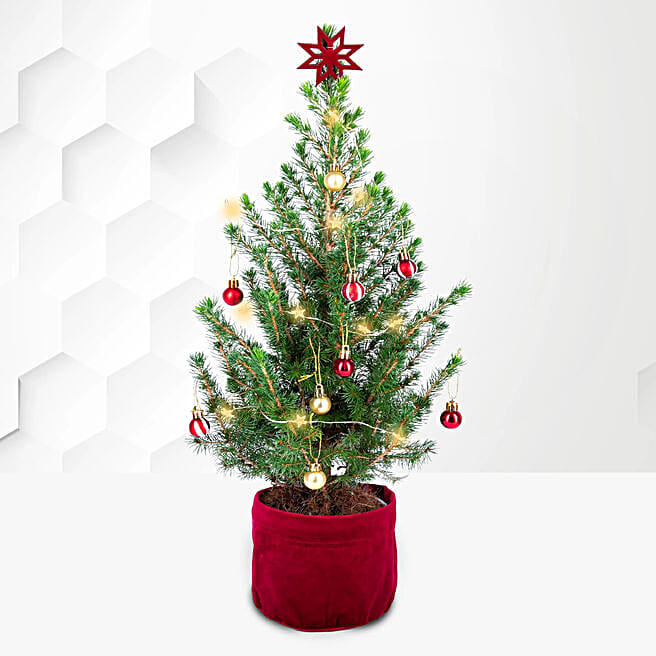 Mini Christmas Tree uk Gift Mini Christmas Tree FNP