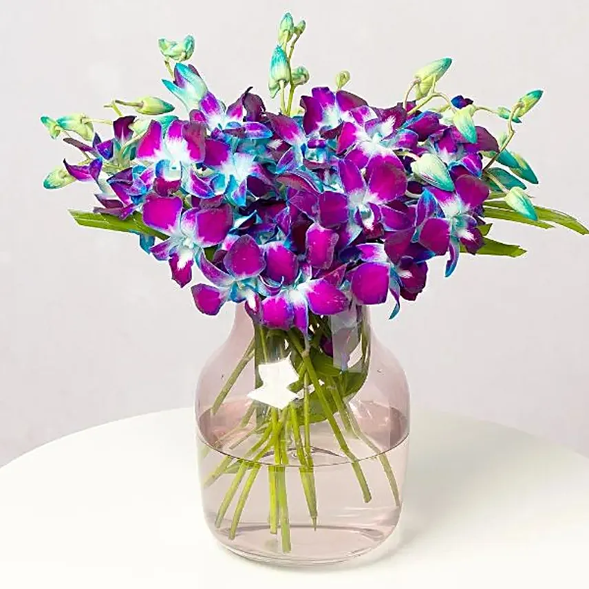 Blue Sky Orchids
