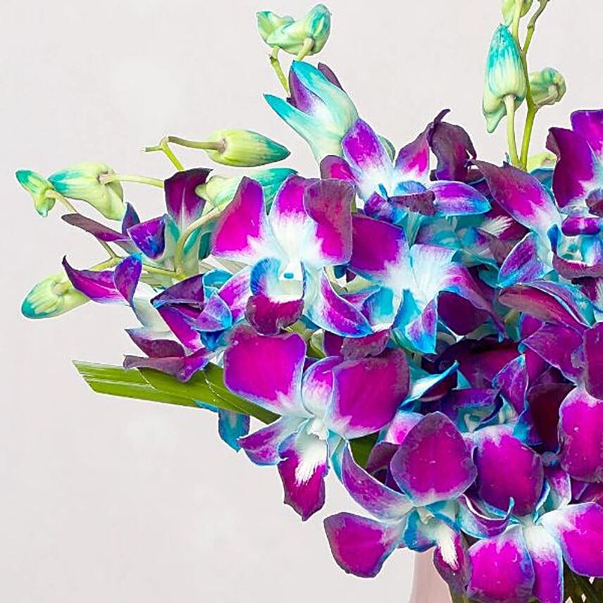 Blue Sky Orchids