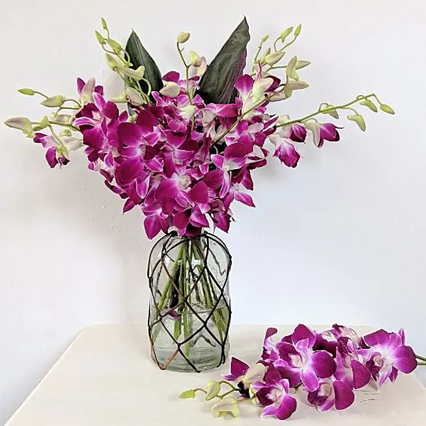 Oriental Orchids