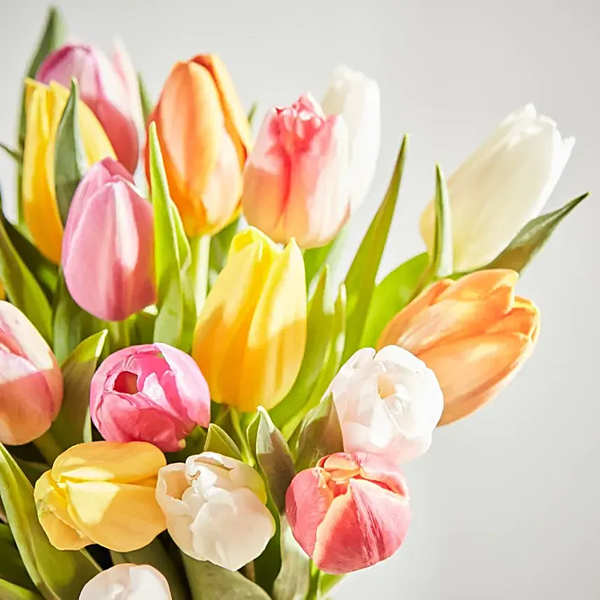 Spring Bliss
