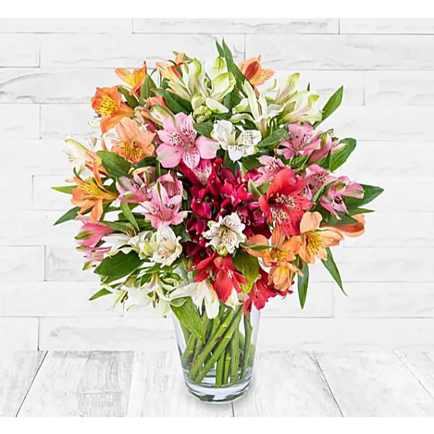 Vibrant Peruvian Lilies
