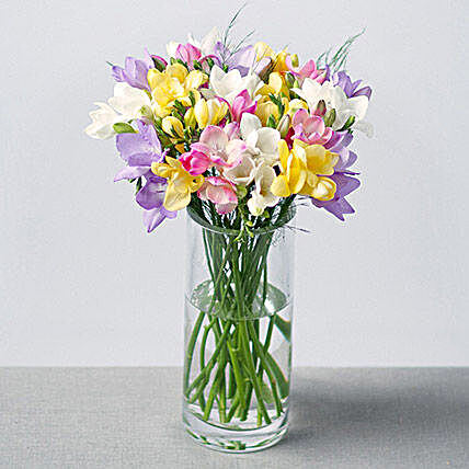 20 Fragrant Freesias:Womens Day Gifts to UK