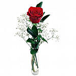 Classic Gift Of Lovesingle Stem Red Rose