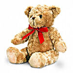 Cuddly Brown Teddy Bear