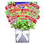 Bright Haribo Sweets Bouquet