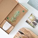 Pine Plant Letter Box Gift
