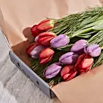 Letterbox Winter Tulips