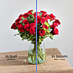 24 Luxury Red Roses