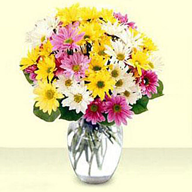 Mixed Daisy Bouquet usa Gift Mixed Daisy Bouquet FNP