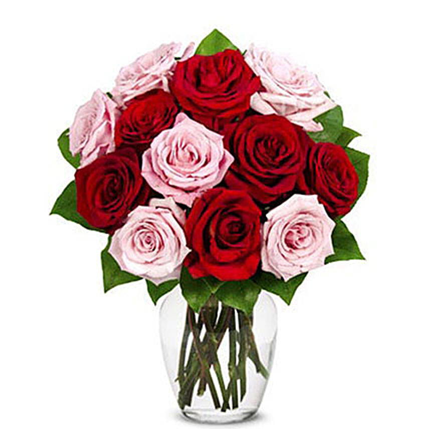 Luxury One Dozen Red And Pink Roses Bouquet:New Arrival Gifts USA
