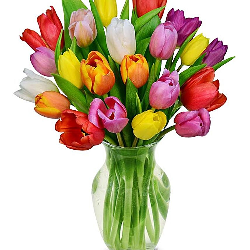 Colourful Tulips 20 Stems:Send Tulip Flowers to USA