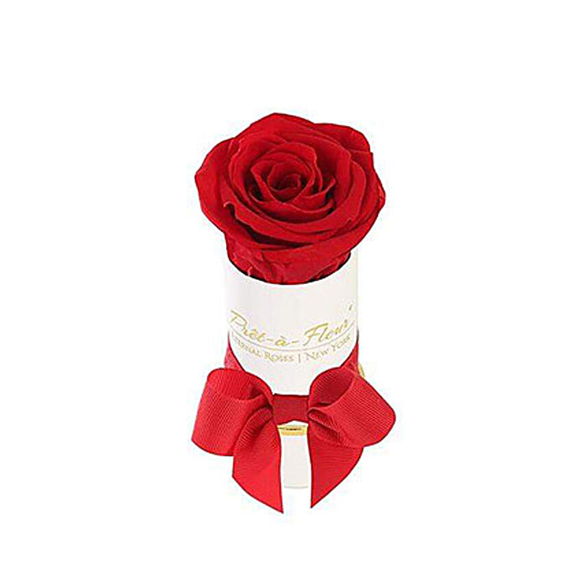 Liberty Scarlet Eternal Rose Gift Box:Forever Roses to USA