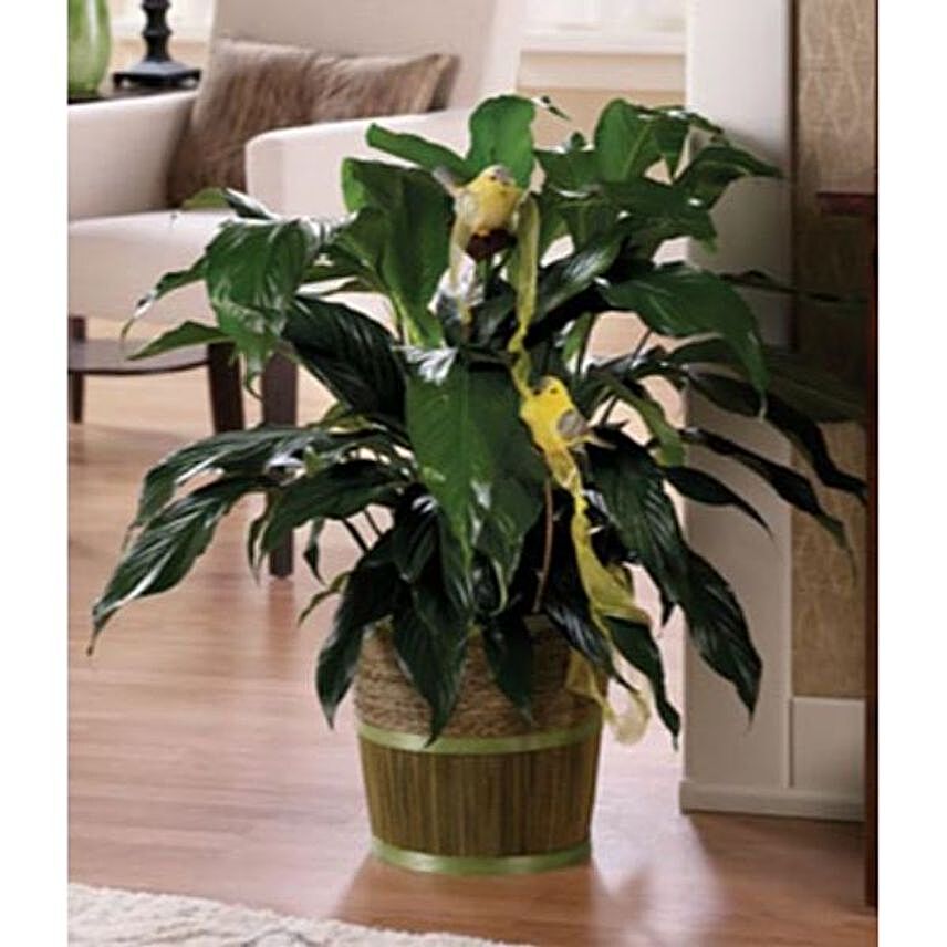 Peace Lily Plant With Resin Birds
