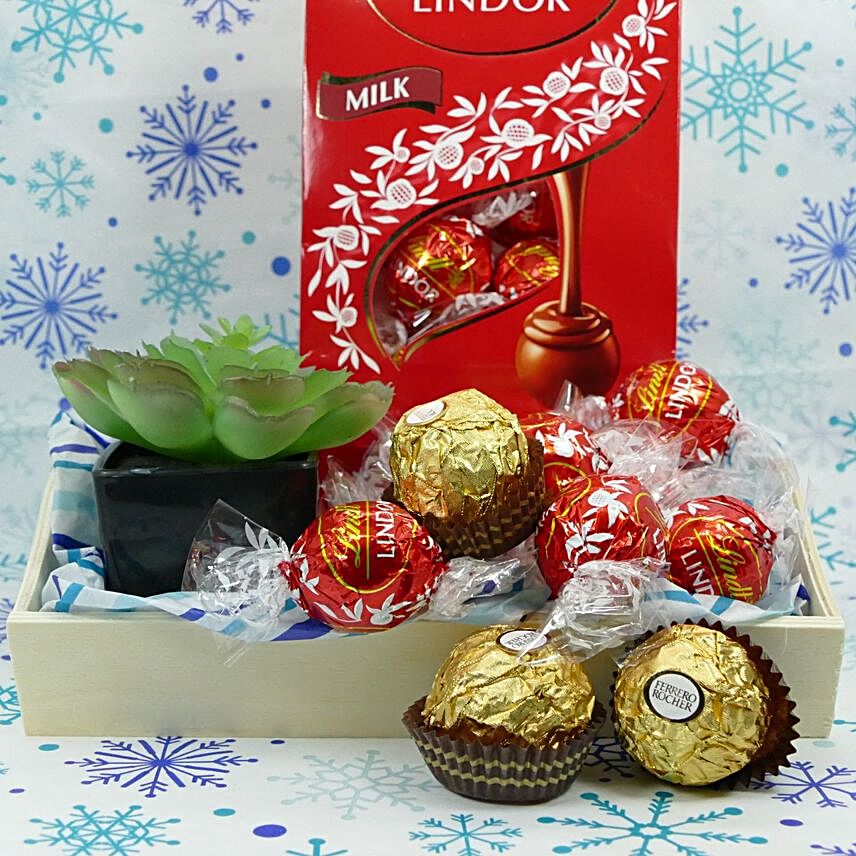 New Year Chocolate And Plant Gift