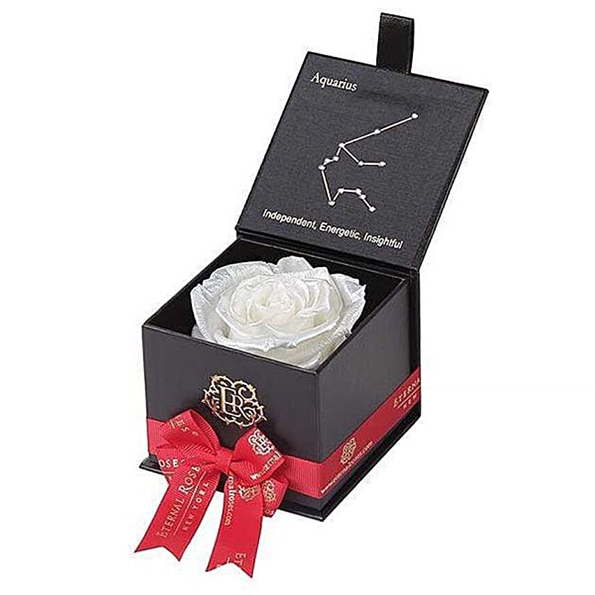 Eternal Rose Gift Box For Aquarius