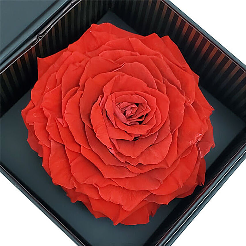 Eternal Red Rose With Ferrero Rocher Chocolates
