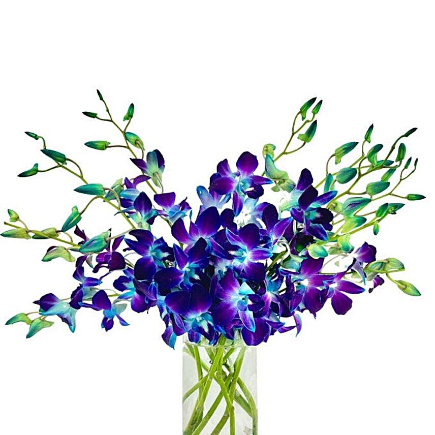 Blue Orchids Glass Vase:Orchid Delivery in USA