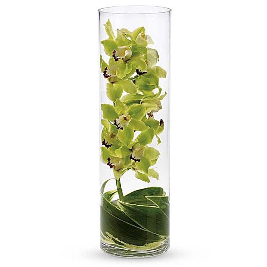 Green Cymbidium Orchid In Cylindrical Vase:Orchid Flowers to USA