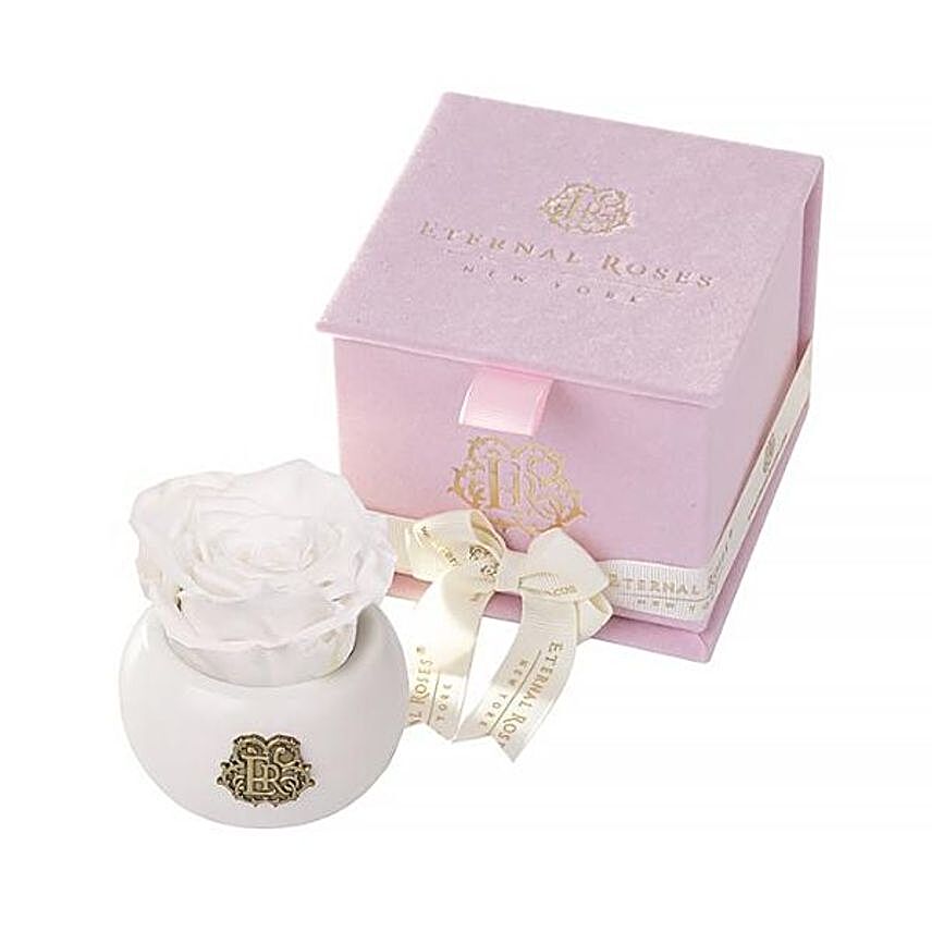 Nobu Preserved Rose Soft Pink Velvet Gift Box:Send Propose Day Gifts to USA