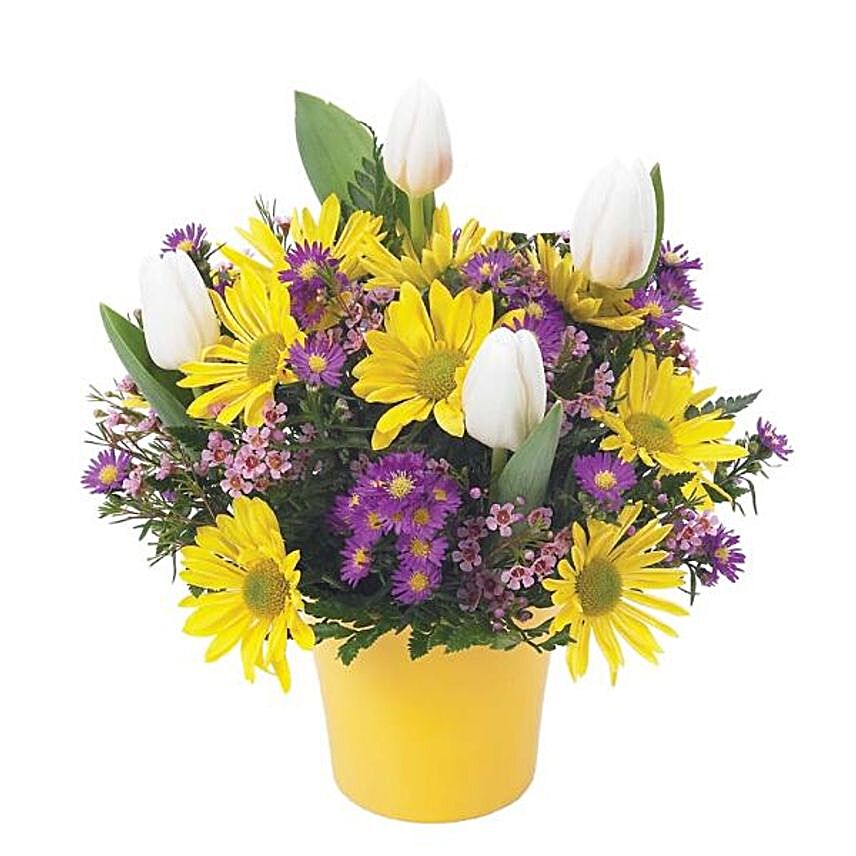 Sunshine N Tulips:Tulip Flowers to USA