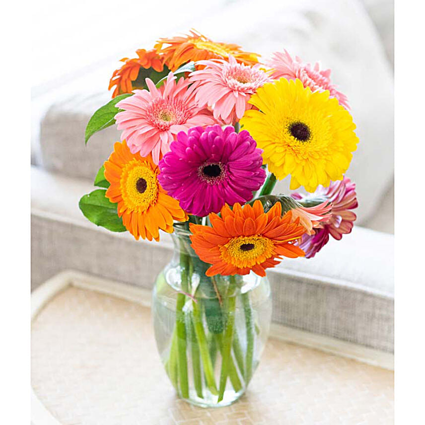 Stunning Gerbera Daisies 10 Stems