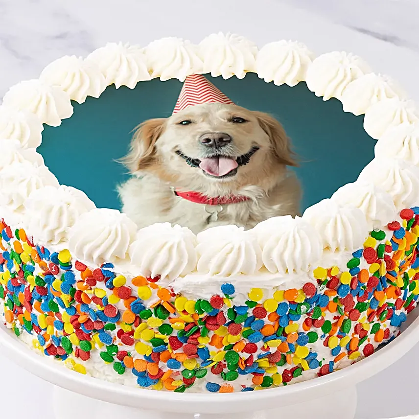 Happy Birthday Photo Cake