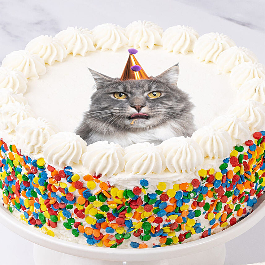 Happy Birthday Photo Cake