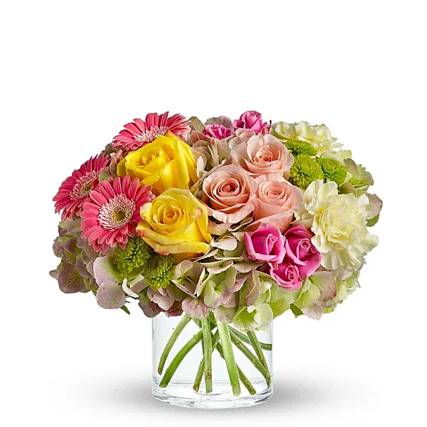 Bright Beautiful Stems Regular