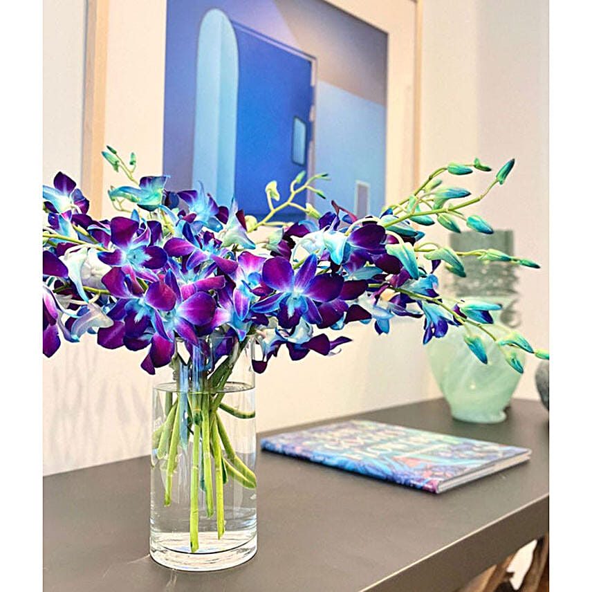 Bright Blue Dendrobium Orchids