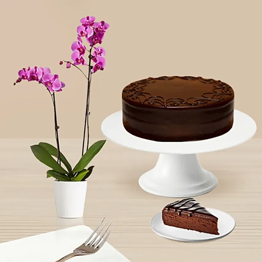 Chocolate Cake N Orchid