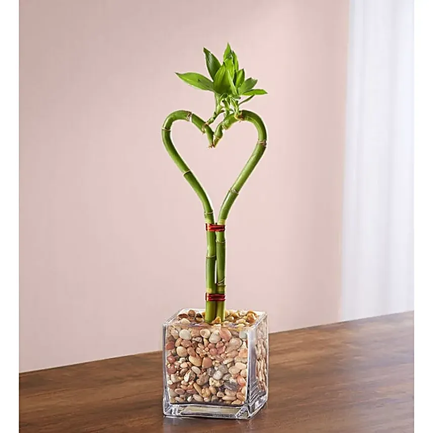Decorative Heart Shaped Bamboo