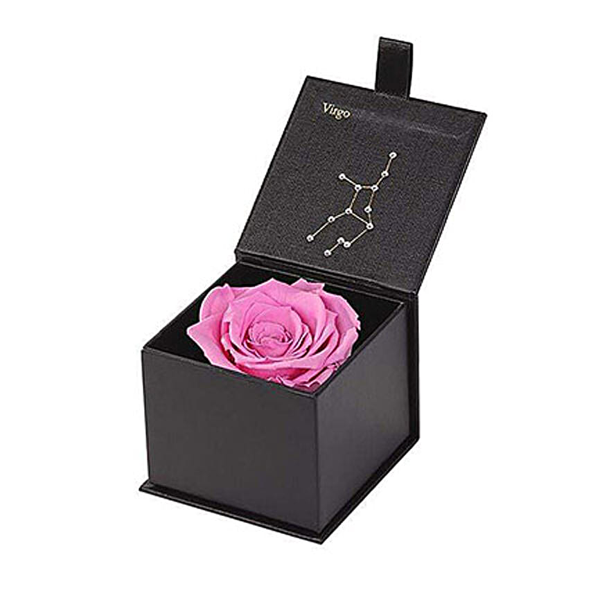 Eternal Rose Aquarius Box Pink