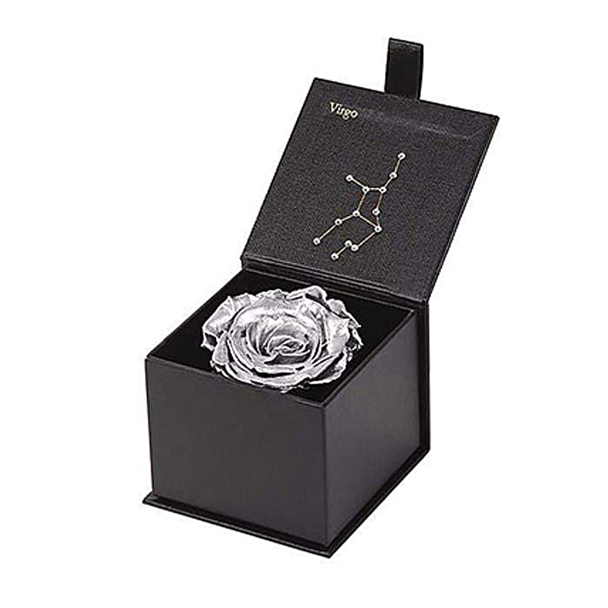 Eternal Rose Aquarius Box Silver