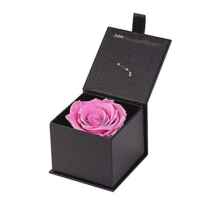 Eternal Rose Aries Box Pink