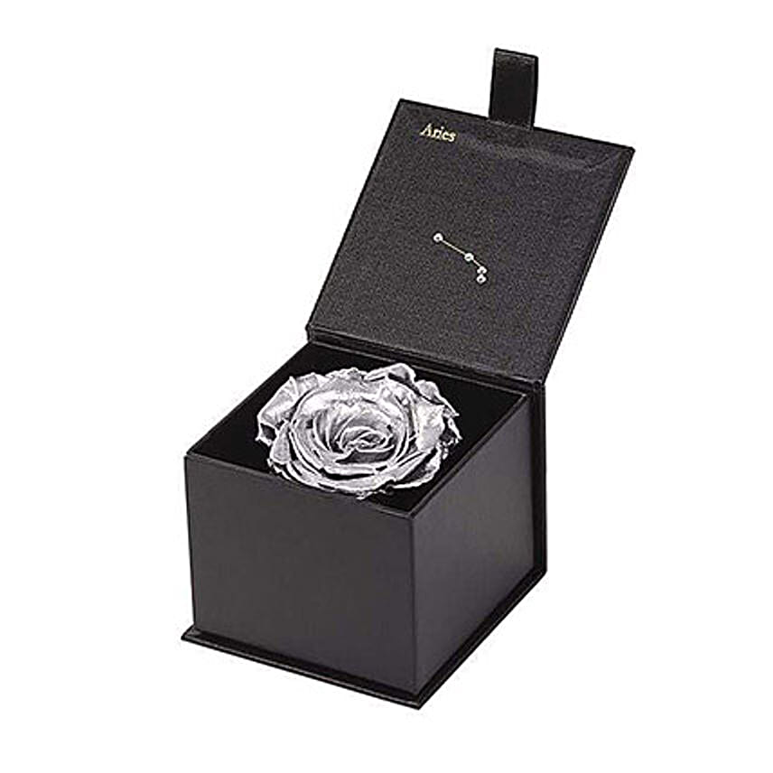 Eternal Rose Aries Box Silver