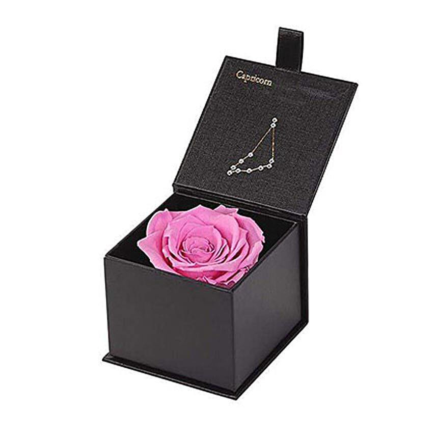 Eternal Rose Capricorn Box Pink